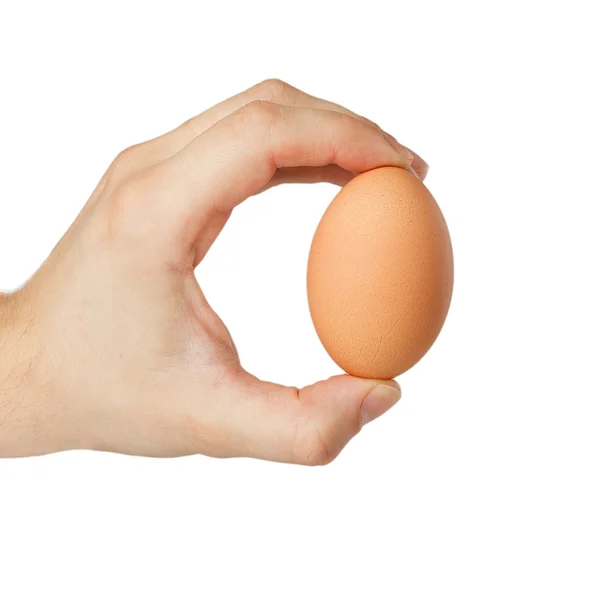 Egg in hand — Stock Photo, Image