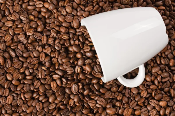 咖啡豆与白杯 — 图库照片