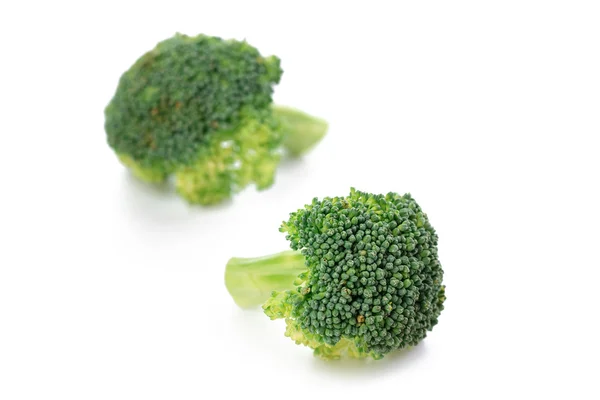 Roher grüner Brokkoli — Stockfoto