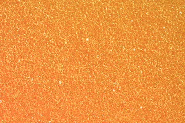 Macro shot de textura de esponja —  Fotos de Stock