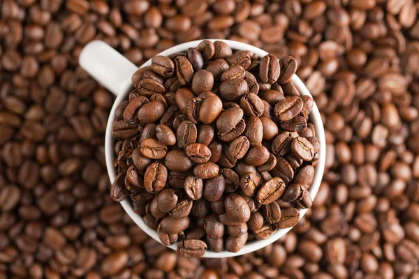 Kahve çekirdekleri ile beyaz fincan — Stok fotoğraf