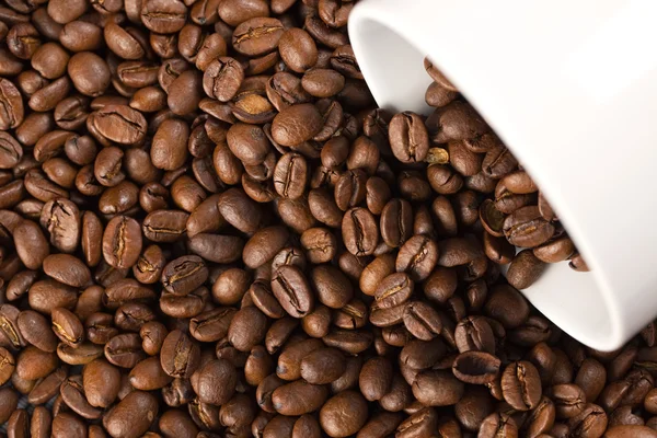 Kaffebönor med vit kopp — Stockfoto