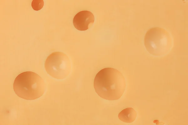 Macro shot de queijo — Fotografia de Stock