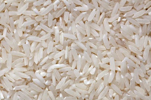 흰 쌀 — 스톡 사진