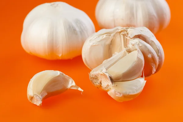 Garlic on orange background — Stock Photo, Image