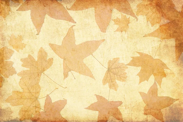 Sfondo vintage con foglie — Foto Stock
