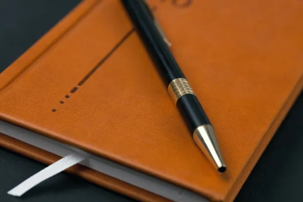 棕色的日记和笔 — 图库照片
