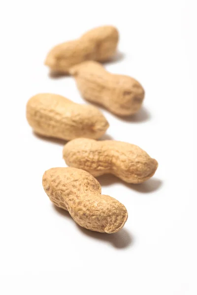 Kacang — Stok Foto