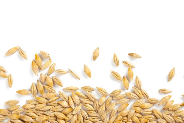 Ячмінь зерно — стокове фото