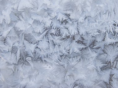 Frosty natural pattern clipart