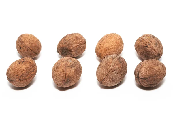 stock image Walnuts