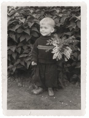 Boy in garden clipart