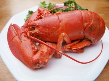 Lobster meal 5 clipart