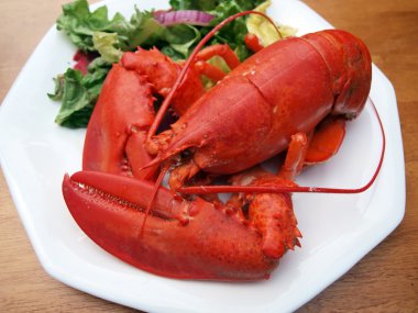 Lobster meal 4 clipart