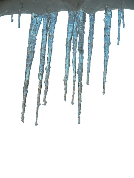Blizzard of 2010 - icicles isolated — Stock Photo, Image