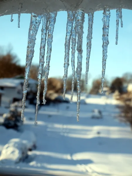 Blizzard of 2010 - icicles — Stock Photo, Image