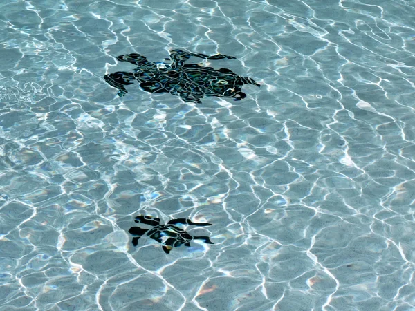 stock image Pool - water in a outdoor pool 2