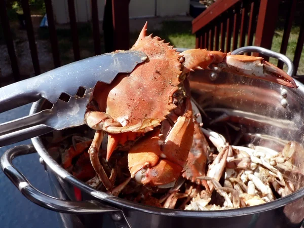 Krabba - kokta blå krabbor i potten 08 — Stockfoto