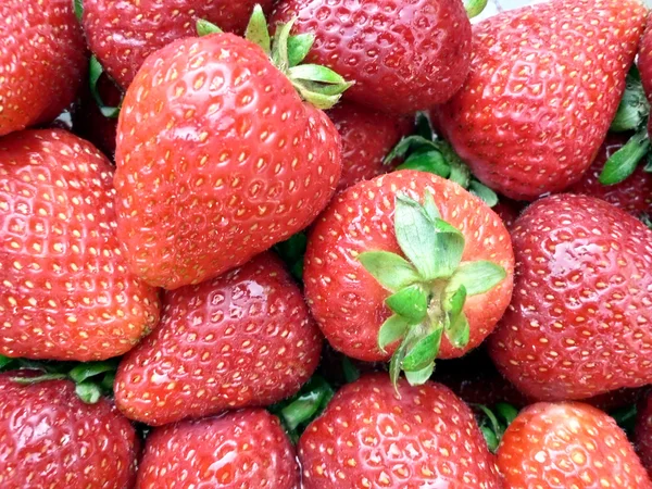 Φράουλες closeup 3 — Φωτογραφία Αρχείου