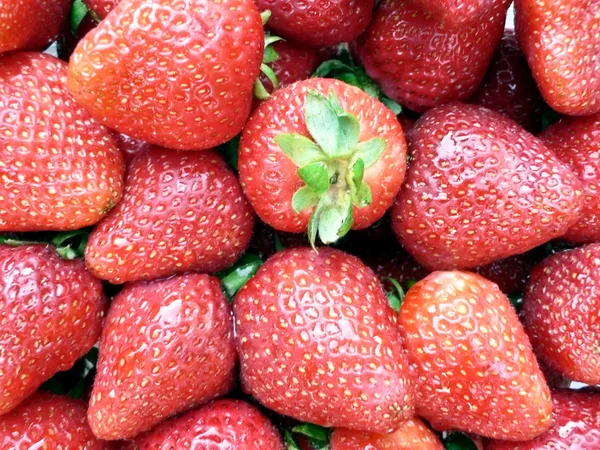 Erdbeeren Nahaufnahme 2 — Stockfoto
