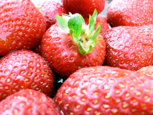 딸기 근접 촬영 — 스톡 사진