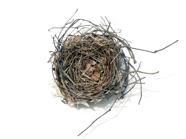 Птичье гнездо 08 '2 — стоковое фото