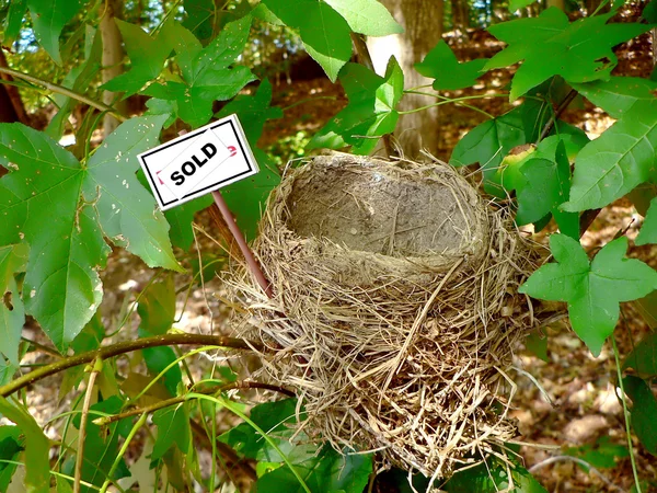 Vogel nest - onroerende goederen 4 — Stockfoto