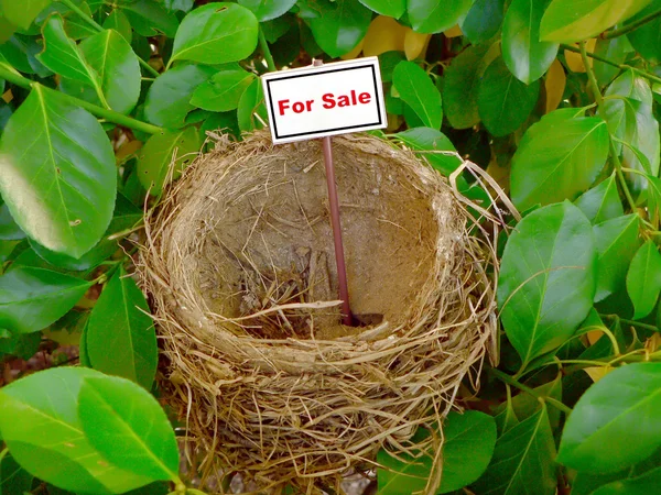 Vogel nest - real estate 6 — Stockfoto
