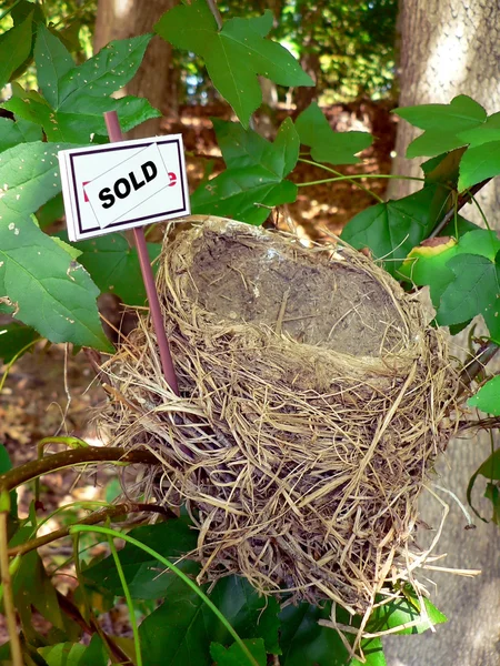 Bird nest - real estate — Stock Photo, Image