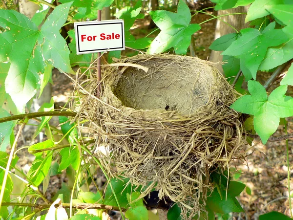 Vogel nest - real estate 8 — Stockfoto