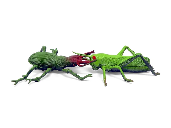Plastic toy insects — Stock Photo, Image