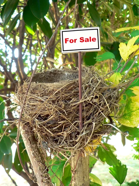 Ninho de pássaros - imobiliário 7 — Fotografia de Stock