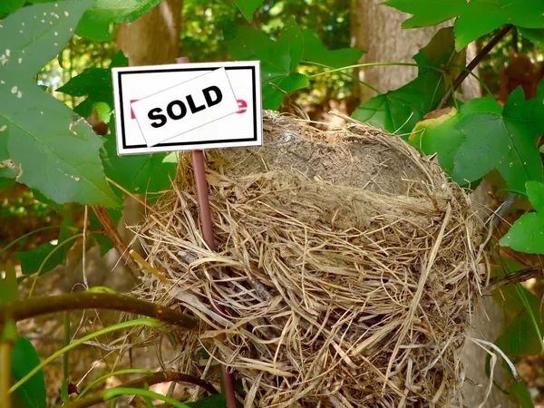 Bird nest - real estate 3 — Stock Photo, Image