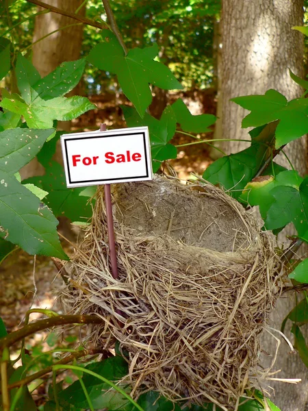 Vogel nest - onroerend goed 5 — Stockfoto