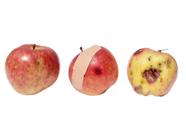 Jabłko - dobry brzydki zły — Zdjęcie stockowe