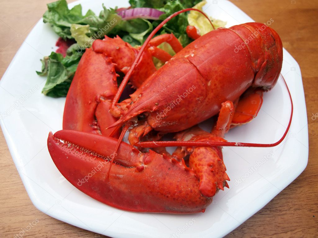 Lobster meal 4