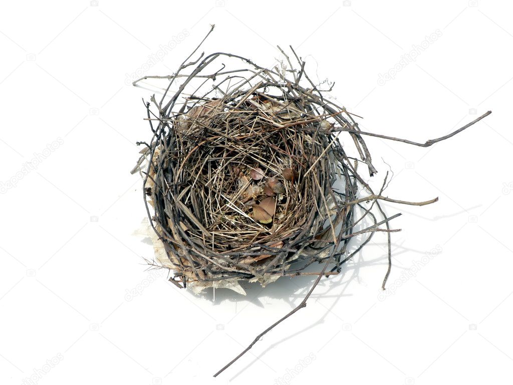 Bird nest 08' 2
