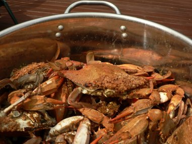 Crab - cooked blue crabs 9 clipart