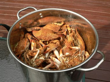 Crab - cooked blue crabs clipart