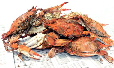 Crab - cooked blue crabs clipart