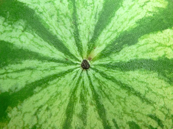Pepene verde coaja de fundal — Fotografie, imagine de stoc