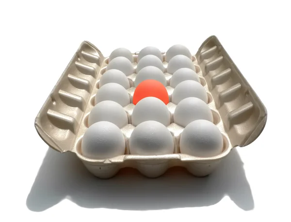 Stand out - eggstraordinary egg — Stock Photo, Image