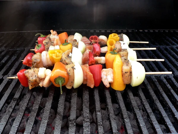 Shish Kebab op de grill — Stockfoto