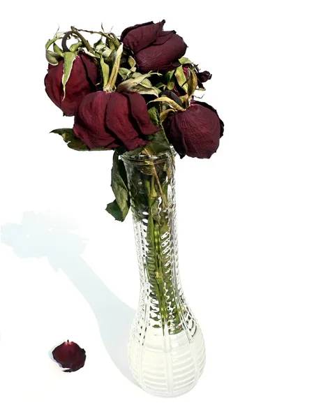 Сушеные розы в хрустальной вазе — стоковое фото