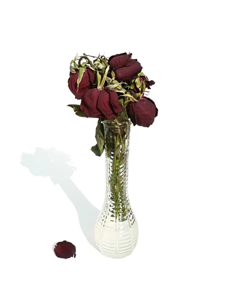 Torkat upp rosor i en kristall vas — Stockfoto