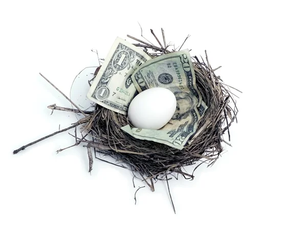 Nest egg 2 — Stock Photo, Image