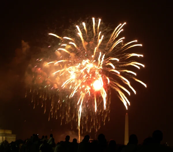 ワシントン dc の花火 — ストック写真