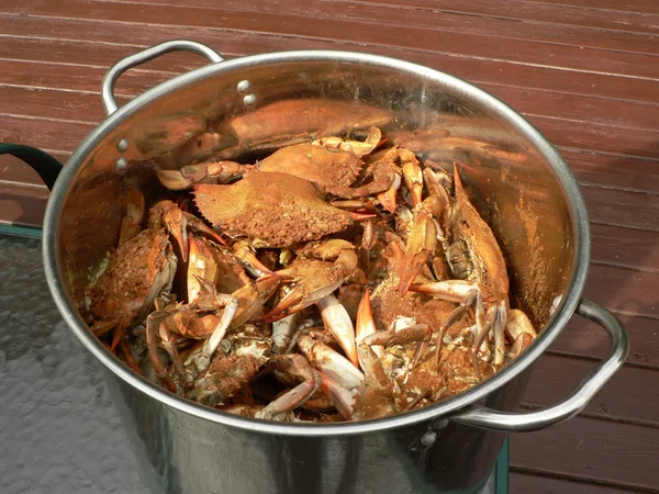 Krab - gotowane niebieskie kraby — Zdjęcie stockowe