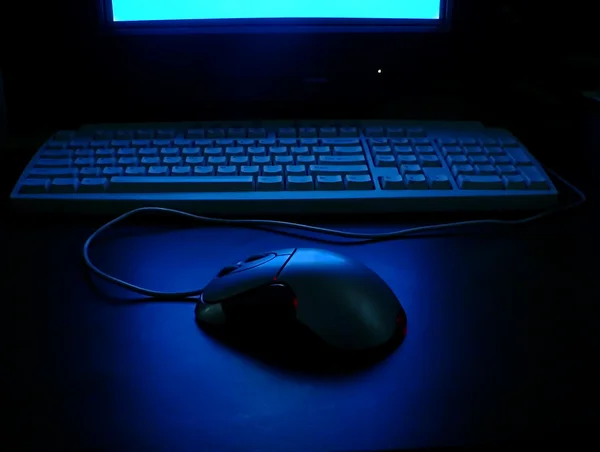 Computer mouse of home computer — Stock Photo, Image