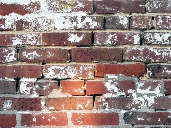 stock image 18th Century brickwall